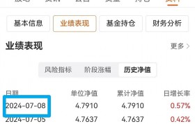 090003基金今天净值查询(090003基金今天净值查询结果是多少钱)