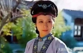 壶说《红楼梦》：稻香老龙司空公李纨